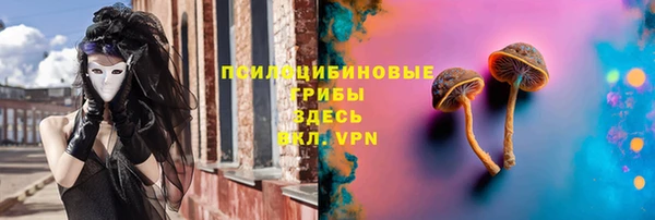 прущие крисы Магадан
